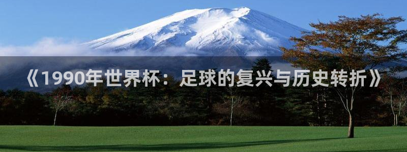 足球比分直播世界杯:《1990年世界杯:足球的复兴与历史转折》