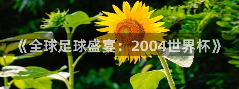 世界杯足球比赛:《全球足球盛宴:2004世界杯》