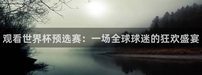 足球世界杯时间:观看世界杯预选赛:一场全球球迷的狂欢盛宴
