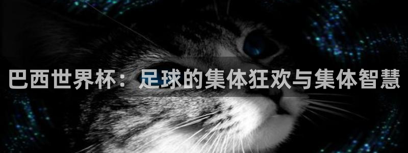 欧洲世界杯预选赛赛程:巴西世界杯:足球的集体狂欢与集体智慧
