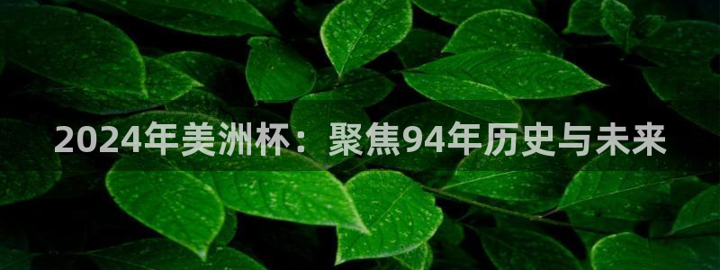 今天所有足球赛程表:2024年美洲杯:聚焦94年历史与未来