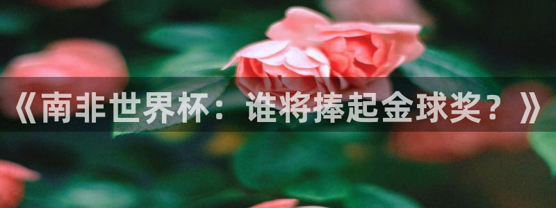 足球世界杯2026:《南非世界杯:谁将捧起金球奖?》